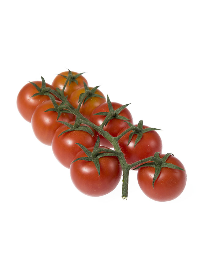 tomate-cherry-rama-bio-1