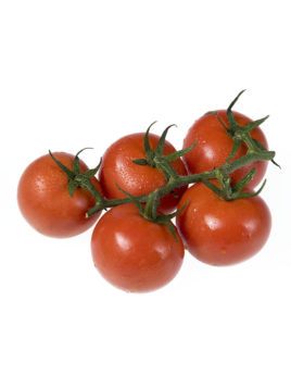 tomate-rama-bio